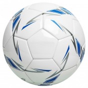 Soccer Balls (12)